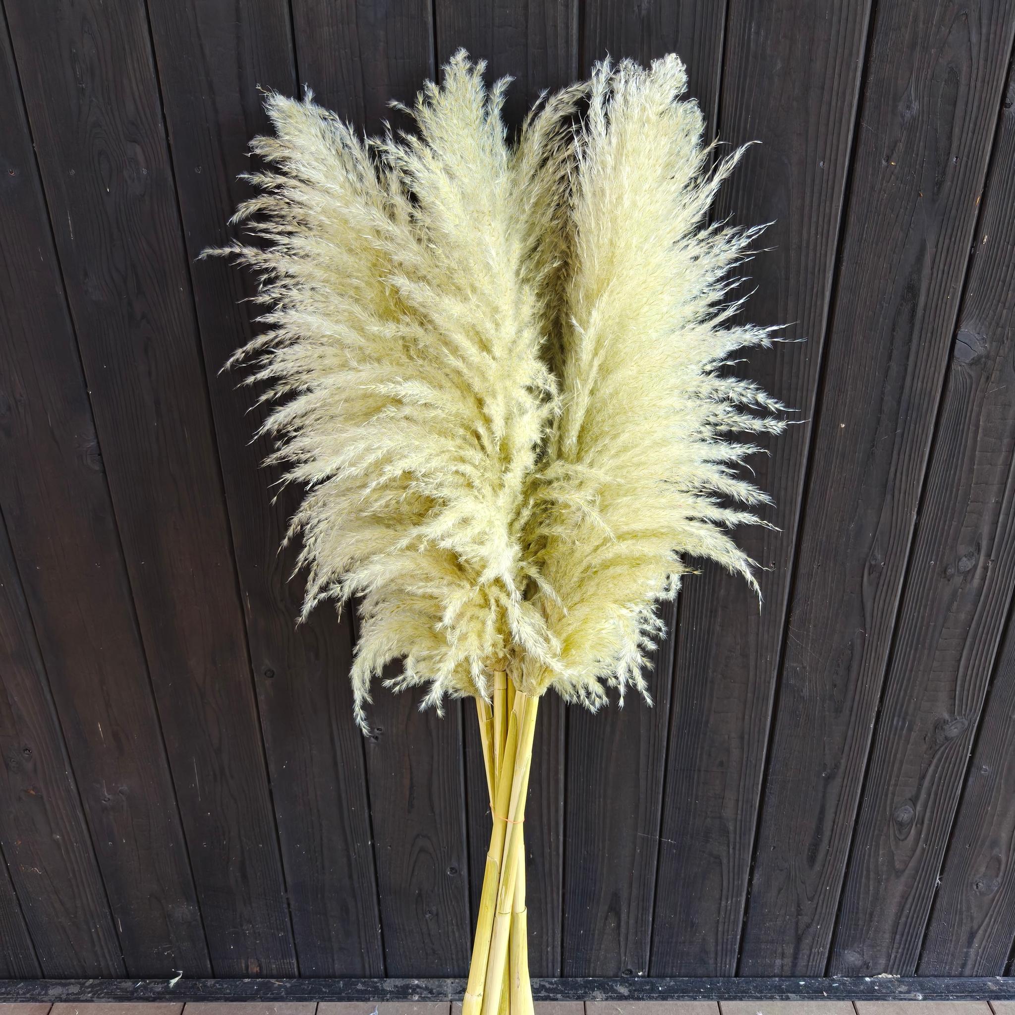 今季!秋冬カラーのパンパスグラス 開店祝い 花 ドライフラワー インテリア ウェディング 大人クリスマス2025 | 9枚目